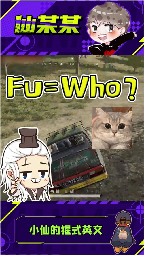 猪队友英文