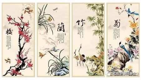 花中四君子指的是什么