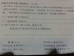 迷惑不解的意思是什么生肖，皆大欢喜的意思