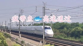k594列车时刻表最新