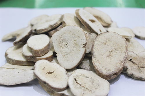 天花粉有什么禁忌症?