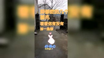 女人网名取自由如风的意思