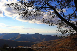 Wayne Gratz的《Shenandoah》 歌词