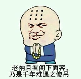老衲是什么意思啊
