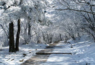 冬雪造句一年级下册，冬雪造句子
