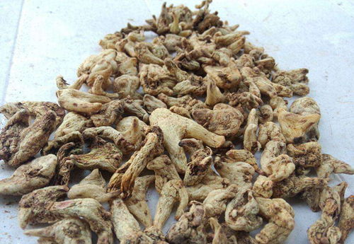 白及与白芨区别是什么?