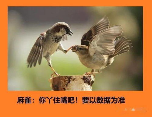 抱头鼠窜是什么意思?近义词和反义词是什么?