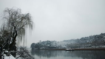 西湖雪景作文，西湖雪景白描的句子