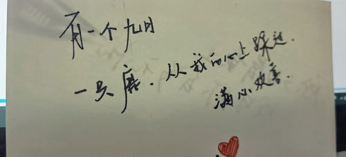 什么不达意的四字成语