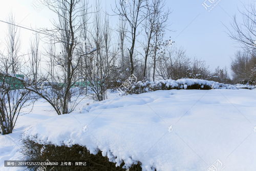积雪苷霜软膏去疤痕吗，积雪苷膏治疗疤痕的正确用法