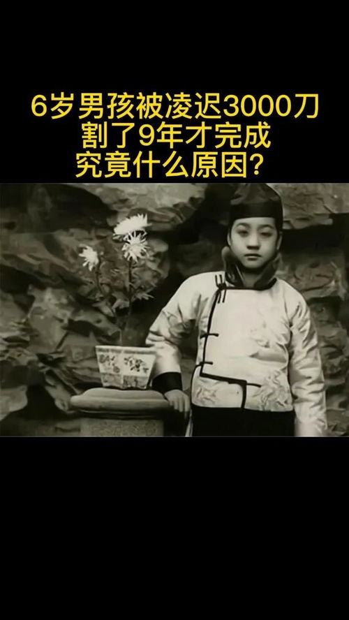 老照片的故事手抄报，关于老照片的故事
