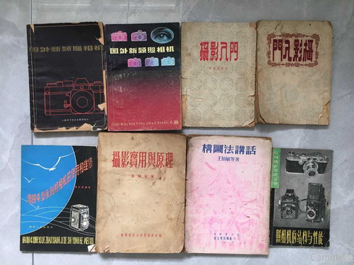 丹的拼音，牡丹的拼音是什么样的