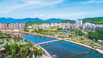 江西山坡上茶树为什么要盖白纱网?