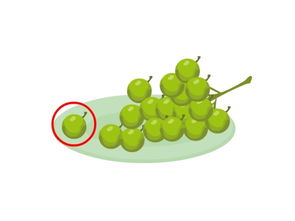 grape怎么读，grapes是什么意思