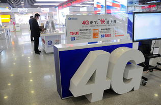 apply for什么意思呢