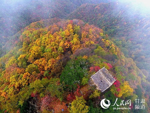 两当县属于哪个市