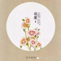 赠荷花的古诗翻译