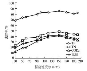 β怎么念或读