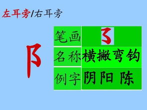 双耳旁笔顺笔画，双耳旁是横撇弯钩还是横折弯钩