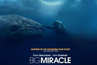 make a miracle是什么意思，miracle是什么意思中文翻译是什么意思