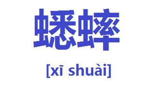 蟋蟀的蟀能组词什么