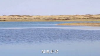 狂风沙漠的铲子在哪，狂风沙漠的萤火怎么拿