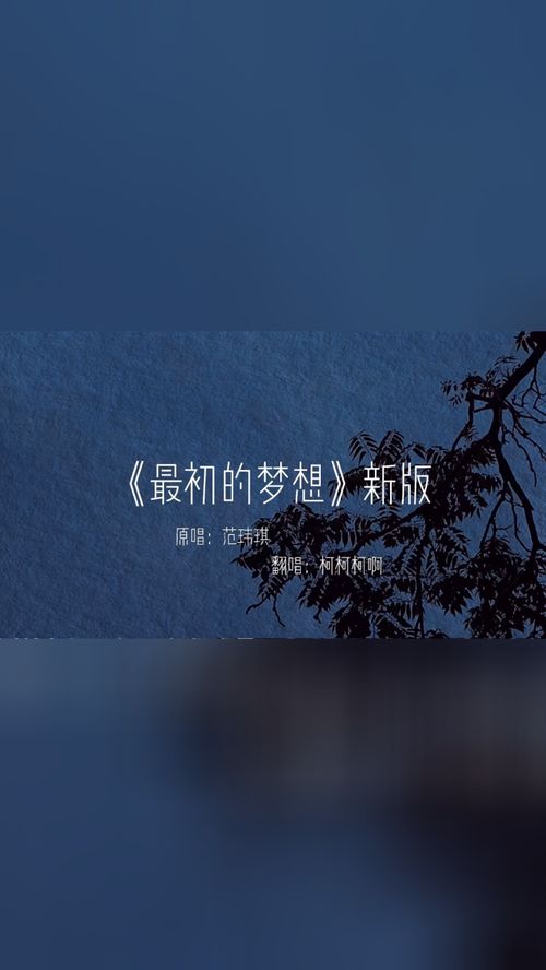想要去的地方怎么能半路返航，我需要这一道光 我想要去的地方