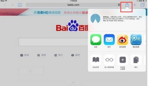 safari什么意思