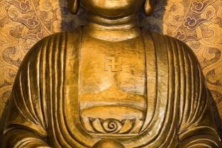 佛狸[bì lí]什么意思?近义词和反义词是什么?英文翻译是什么?_百度