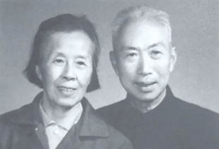 高阳台 访媚香楼遗址原文_翻译及赏析