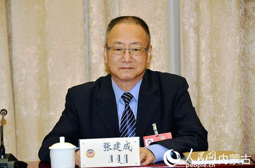 张建成历史教授，张建成书画价格