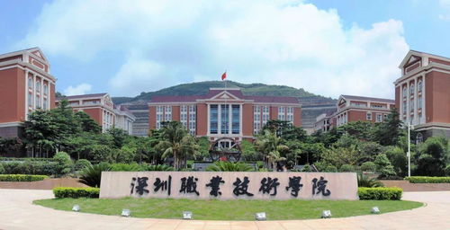 深职院专科录取线，深职院专业组