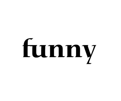 funny正确发音