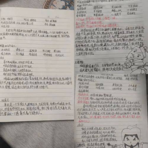 武组词和拼音