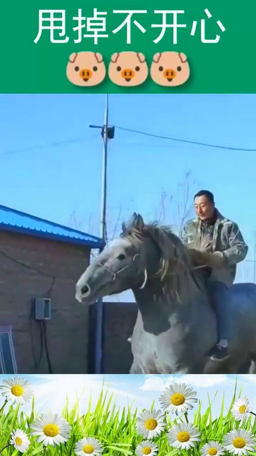 雄壮的意思雄壮的意思是什么