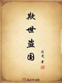 欺世盗国笔趣阁，乱世枭雄