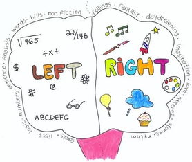 枯竭的意思解释是什么