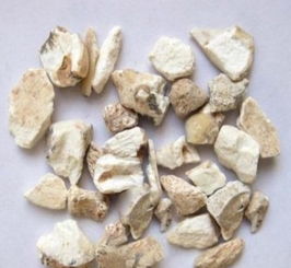 龙齿的作用和功效 龙齿的食用方式和注意事项