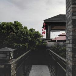 阆苑是什么意思