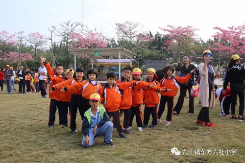 我们的班级_六年级作文