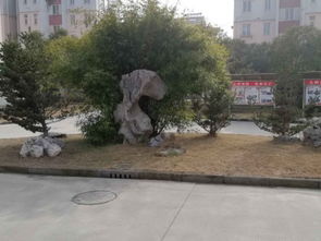泰和园聊城，泰和园订餐电话