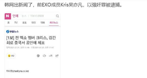 涉嫌是什么意思?