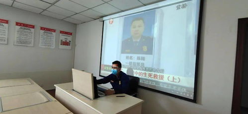 陈陆观后感600字，陈陆观后感800字