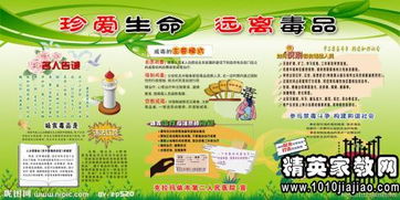 生命生命读后感50字，生命生命读后感100字