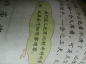 静寂的反义词是什么禁忌，柔和和静寂的反义词是什么