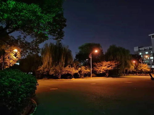 寒风凛凛的凛凛是什么意思，寒风凛冽,雪花漫天,一道瘦弱的身影傲然的跪在雪地之上