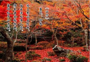 《夜泊牛渚怀古·李白》原文与赏析