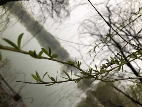 皓首什么意思