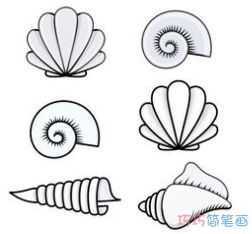 贝壳简笔画 儿童画，贝壳简笔画 儿童画图片