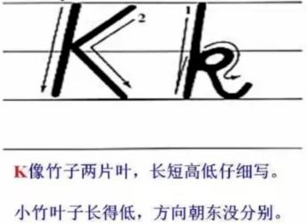 声母排列顺序是怎么样的?